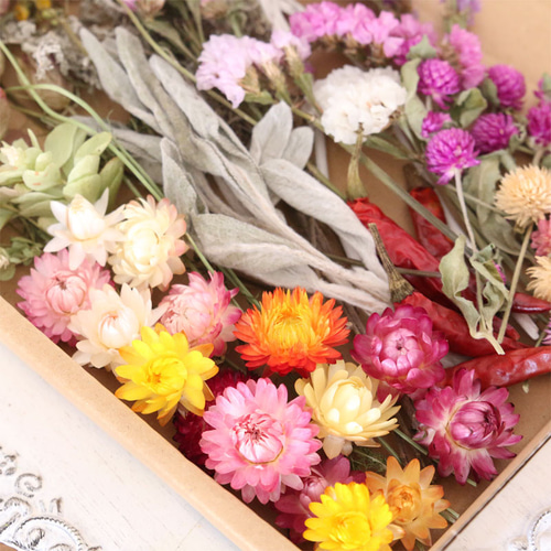 ドライフラワー 3種の花材セット 貝細工など ドライフラワー
