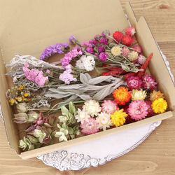 8519b4774d449774954a9bdc8f39c5