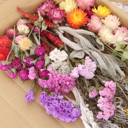❇️ドライフラワー 花材❣️5種類 10種類のドライフラワー バラエティセット 花材【A5】 ドライフラワー