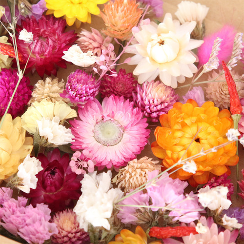 暖色系 ドライフラワー 花材セット 詰め合わせ 【A6】 プリザーブド
