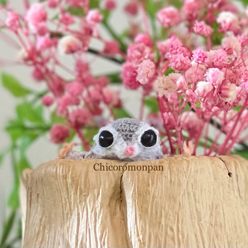 モモンガあみぐるみ あみぐるみ Chicoromonpan shop 通販