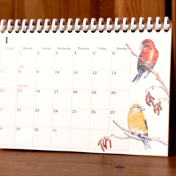 野鳥のカレンダー 2024 (卓上版) 2枚目の画像