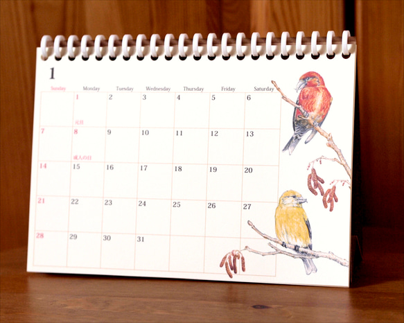 野鳥のカレンダー 2024 (卓上版) 2枚目の画像