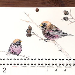 野鳥のカレンダー 2024 (壁かけ版) 3枚目の画像