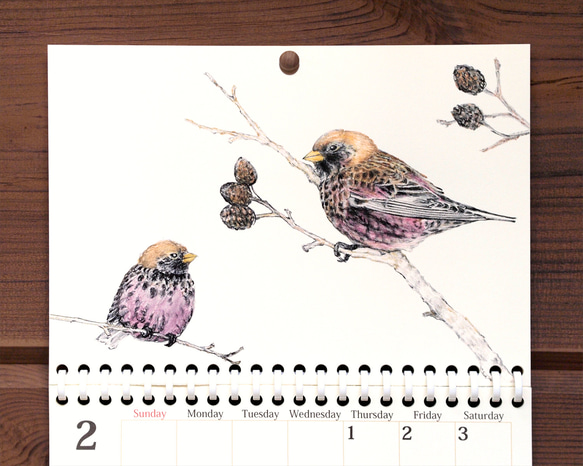 野鳥のカレンダー 2024 (壁かけ版) 3枚目の画像