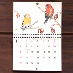 野鳥のカレンダー 2024 (壁かけ版) 2枚目の画像