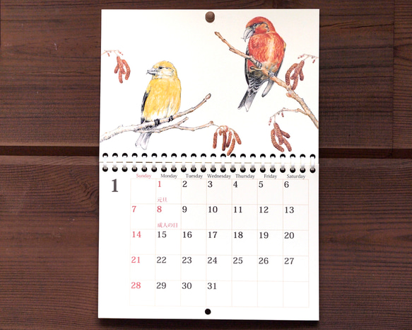 野鳥のカレンダー 2024 (壁かけ版) 2枚目の画像