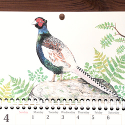 野鳥のカレンダー 2024 (壁かけ版) 4枚目の画像