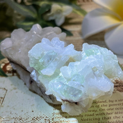 天使の水晶✨グリーンアポフィライトスティルバイト ラフストーン魚眼