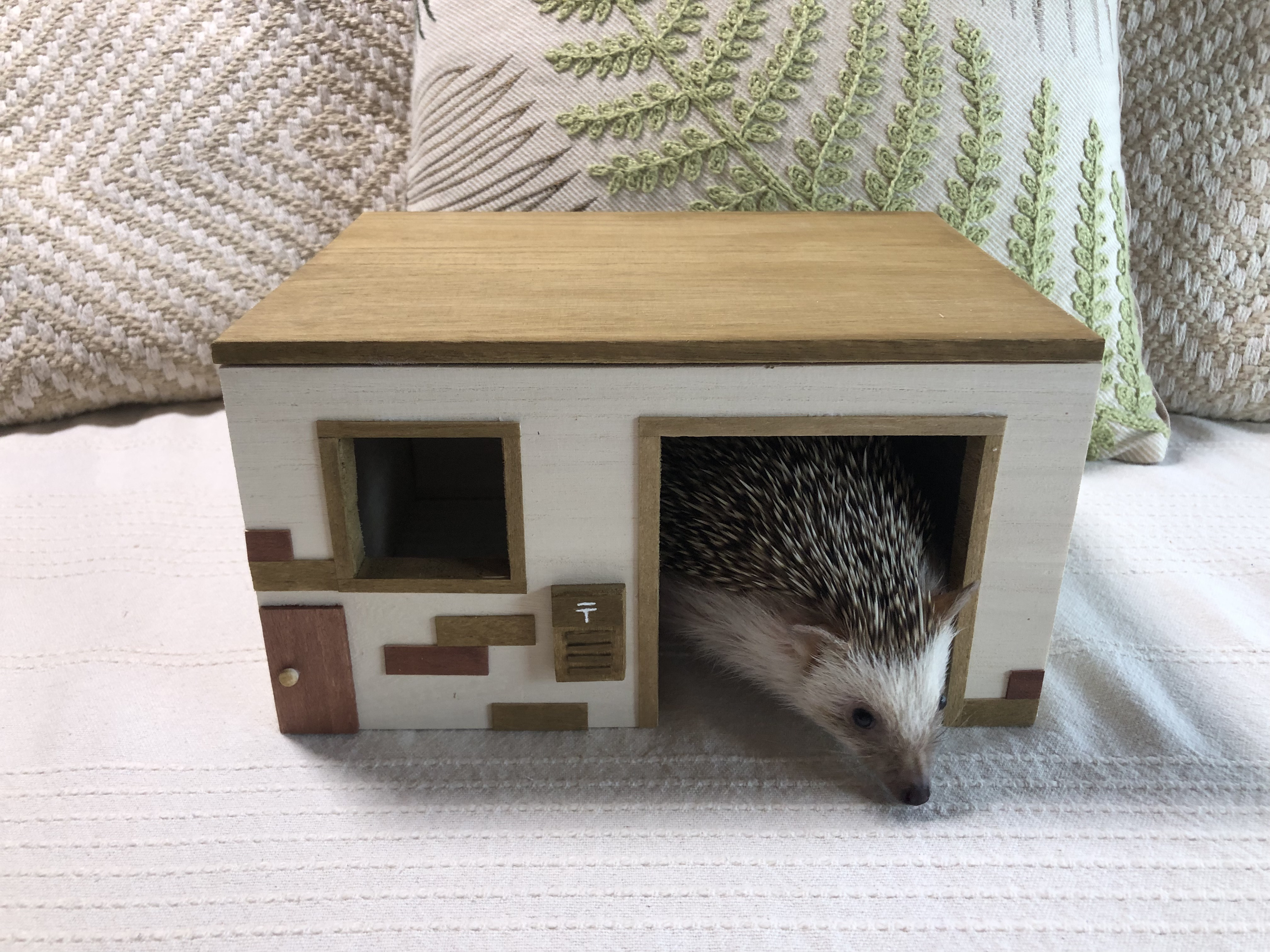 おしゃれなエントランスwoodハウス　チンチラ・ハリネズミ小動物ハウス 三晃商会WEBページ