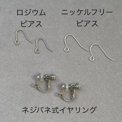 ピピandシェリー様♡専用ページ〔ネジバネイヤリング・ピアス 〕 ピピandシェリー様専用ページ〔ネジバネイヤリング〕