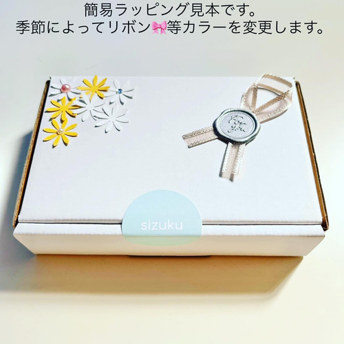 ピアス 14kgf 天然石 オレンジカラージェード アクセサリー