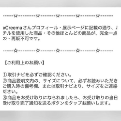 太陽の氣・大地の氣✴︎悠久の自然のエネルギーがたっぷり詰まった飴色セピア✴︎スマトラブルーアンバー、グリーンガーネット 20枚目の画像