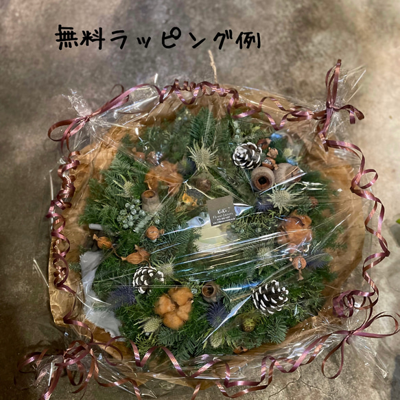 再再販‼︎森の木の実のクリスマスリース(生花)(フレッシュ) 4枚目の画像