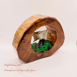 一つ限りの流木アート 羽ばたくエゾモモンガ ジオラマ 流木 フィギュア 置物 インテリア レジン モモンガ N3 3枚目の画像