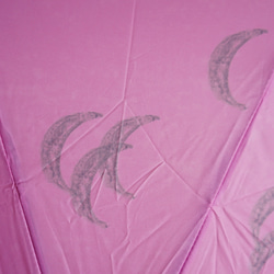 竹柄折疊傘 日雨月色 粉色 162017 陽傘傘 粉色月亮圖案 ALCEDO 第5張的照片
