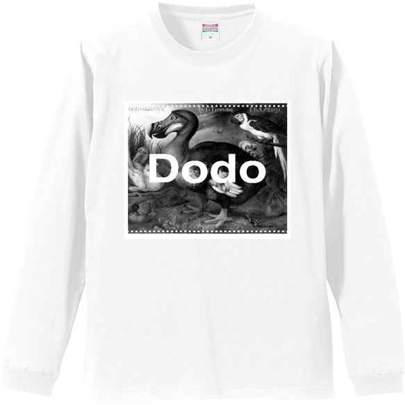 [Dodo]Dodo longTシャツ 1枚目の画像