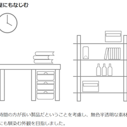 BUG ROCKET 半透明タイプ｜部屋の虫を外に逃がす道具 9枚目の画像