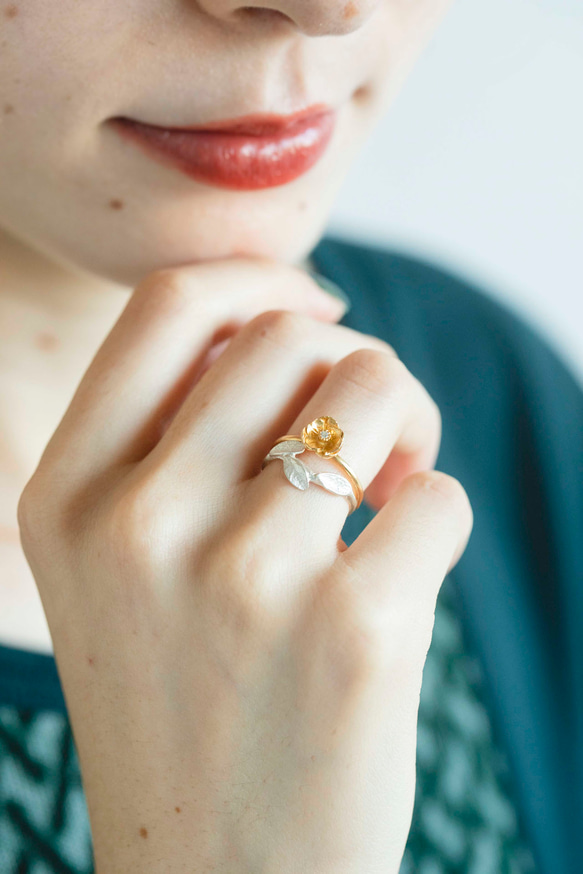 小葉環 第6張的照片