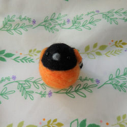 海外の鳥シリーズ～ボルチモアムクドリモドキ～ 5枚目の画像