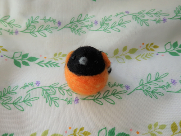 海外の鳥シリーズ～ボルチモアムクドリモドキ～ 5枚目の画像