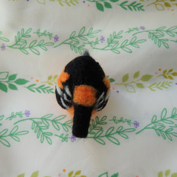 海外の鳥シリーズ～ボルチモアムクドリモドキ～ 4枚目の画像