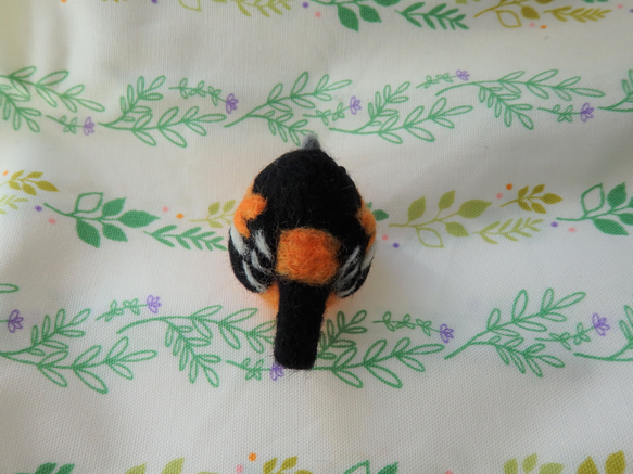 海外の鳥シリーズ～ボルチモアムクドリモドキ～ 4枚目の画像