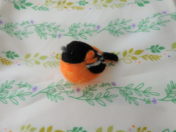 海外の鳥シリーズ～ボルチモアムクドリモドキ～ 2枚目の画像