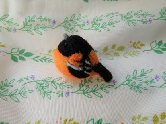 海外の鳥シリーズ～ボルチモアムクドリモドキ～ 1枚目の画像