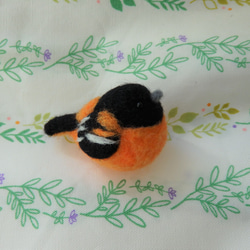 海外の鳥シリーズ～ボルチモアムクドリモドキ～ 3枚目の画像