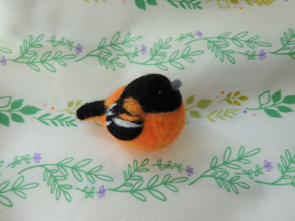 海外の鳥シリーズ～ボルチモアムクドリモドキ～ 3枚目の画像