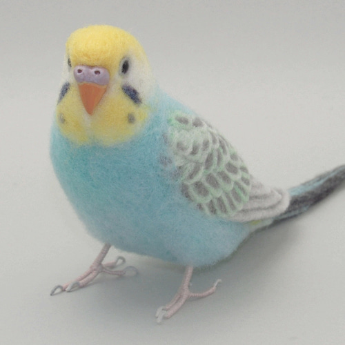 【MIHOさま専用】モルモットセレクションプロ３袋、セキセイインコ２袋他 Amazon | イースター モルモットセレクション 3.5Kg