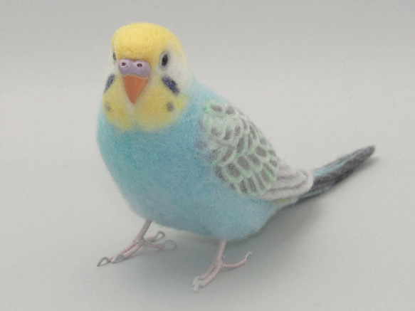 本トリ No.103 セキセイインコ レインボー 3号 / 羊毛フェルト リアルサイズ 2枚目の画像