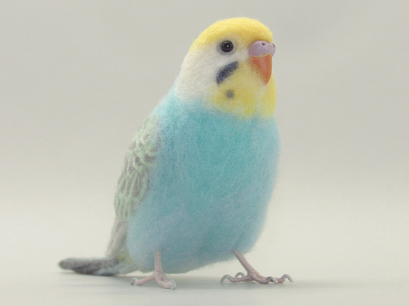 本トリ No.103 セキセイインコ レインボー 3号 / 羊毛フェルト リアルサイズ 6枚目の画像