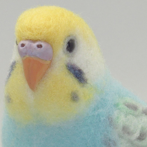 本トリ No.103 セキセイインコ レインボー 3号 / 羊毛フェルト リアル 