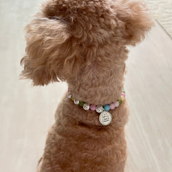 犬、猫ペット用首輪　ネックレス　ガラスビーズくすみカラー×アルミビーズ　内径約23.5センチ 10枚目の画像