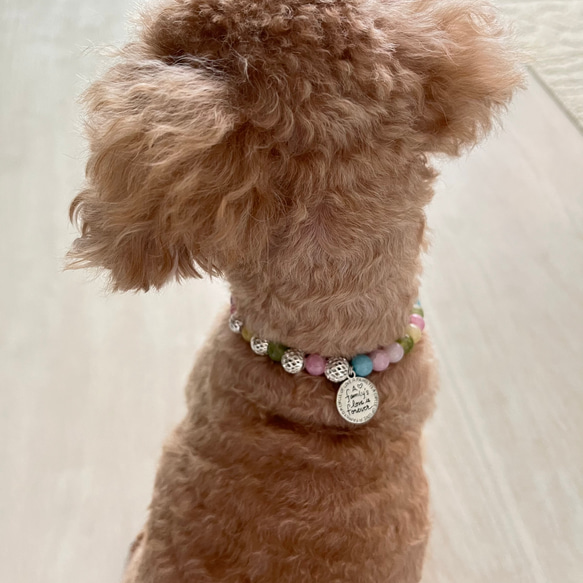 犬、猫ペット用首輪　ネックレス　ガラスビーズくすみカラー×アルミビーズ　内径約23.5センチ 10枚目の画像