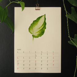 2024植物の葉カレンダー　【壁掛け　A3サイズ  水彩画】1 4枚目の画像