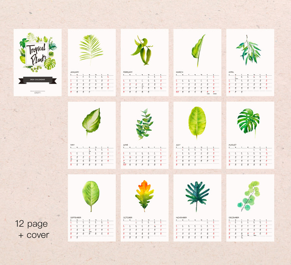 植物的靜默 2024年曆月曆掛曆 給植物愛好者的治癒新年禮物1 第9張的照片