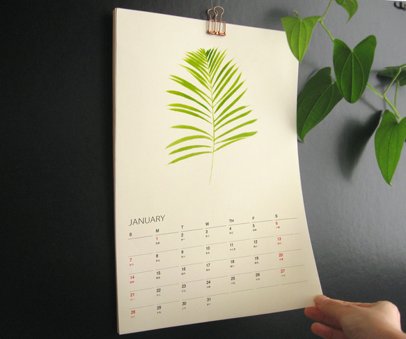 植物的靜默 2024年曆月曆掛曆 給植物愛好者的治癒新年禮物1 第1張的照片