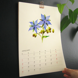 Kitchen Garden 2024年曆掛曆 給植物愛好者的治癒禮物 3 第2張的照片