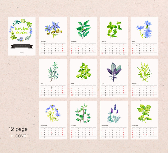 Kitchen Garden 2024年曆掛曆 給植物愛好者的治癒禮物 3 第10張的照片