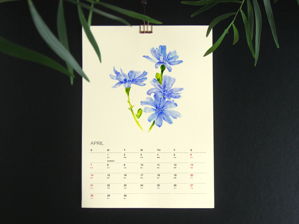 Kitchen Garden 2024年曆掛曆 給植物愛好者的治癒禮物 3 第5張的照片
