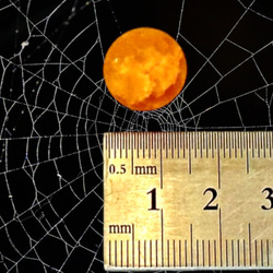 ビー玉専門店雅/ハロウィンマーブルアソートパック② 8枚目の画像