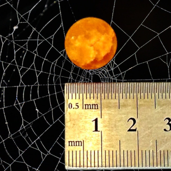 ビー玉専門店雅/ハロウィンマーブルアソートパック② 8枚目の画像