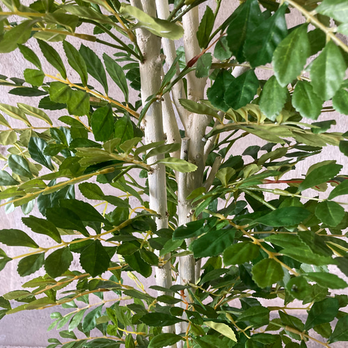 光触媒 人工観葉植物 ウォールグリーン フェイクグリーン トネリコ