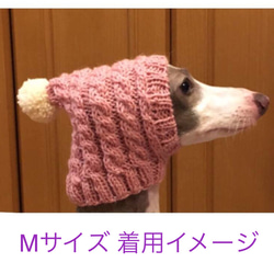 さっちん様 大好評♪ ◆ 犬用 ニット帽 ◆コーディネートしやすいカラー 手編み 小型犬 ウエア イタグレ チワワ 2枚目の画像