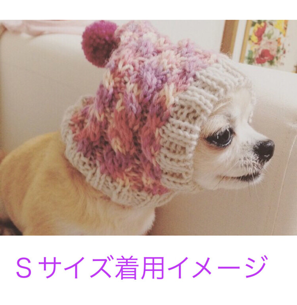 さっちん様 大好評♪ ◆ 犬用 ニット帽 ◆コーディネートしやすいカラー 手編み 小型犬 ウエア イタグレ チワワ 3枚目の画像