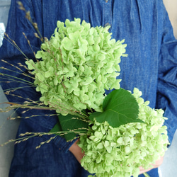 Greenアナベルmini＆パニカムSimple bouquet【bouquet】受注製作 7枚目の画像