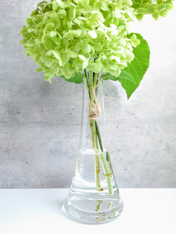 Greenアナベルmini＆パニカムSimple bouquet【bouquet】受注製作 9枚目の画像